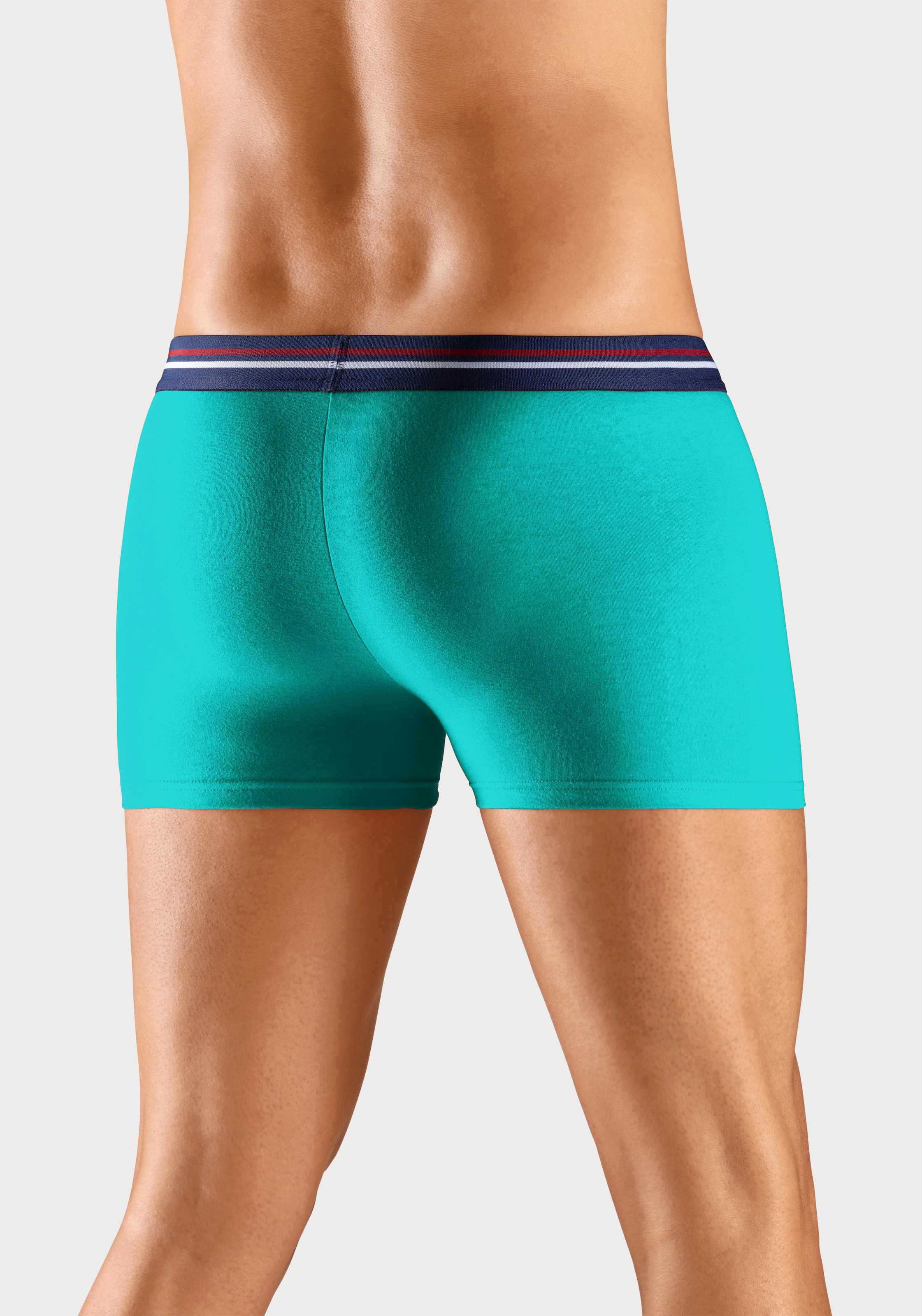 H.I.S Boxer »Boxershorts für Herren«, (Packung, 5 St.), mit Streifen und Markenlogo im Bund