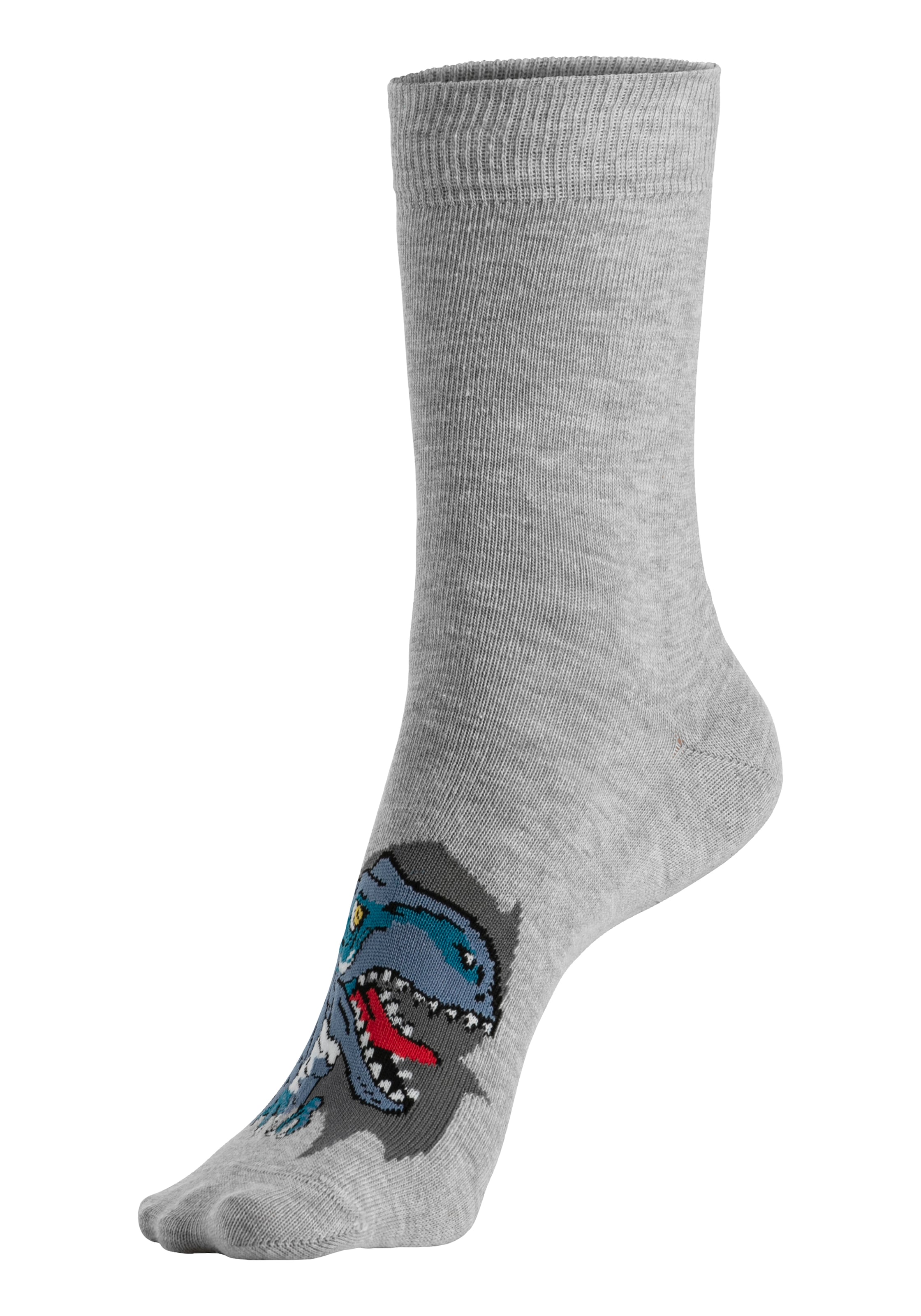 H.I.S Socken »Kinder und Jugendliche Motivsocken« Packung, 5 Stk. tlg. mit Dinosauriermotiven