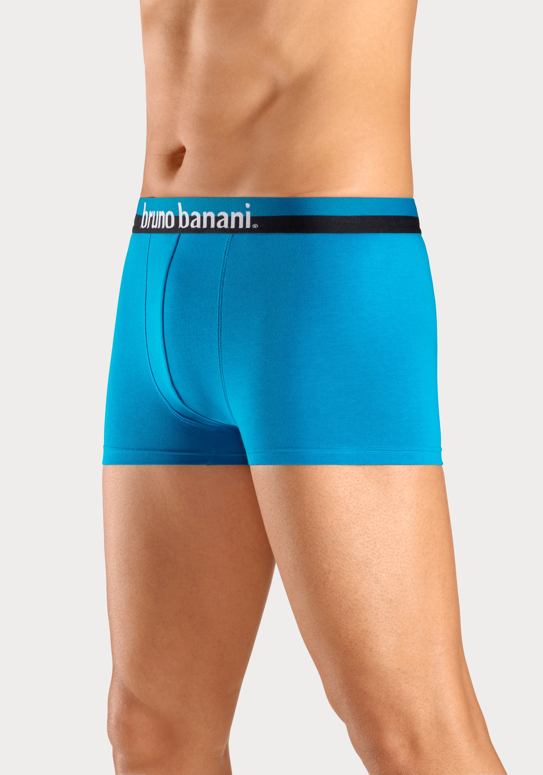 Bruno Banani Boxer »Boxershorts für Herren«, (Packung, 4 St.), mit erhabenem Logo-Druck auf dem Bund