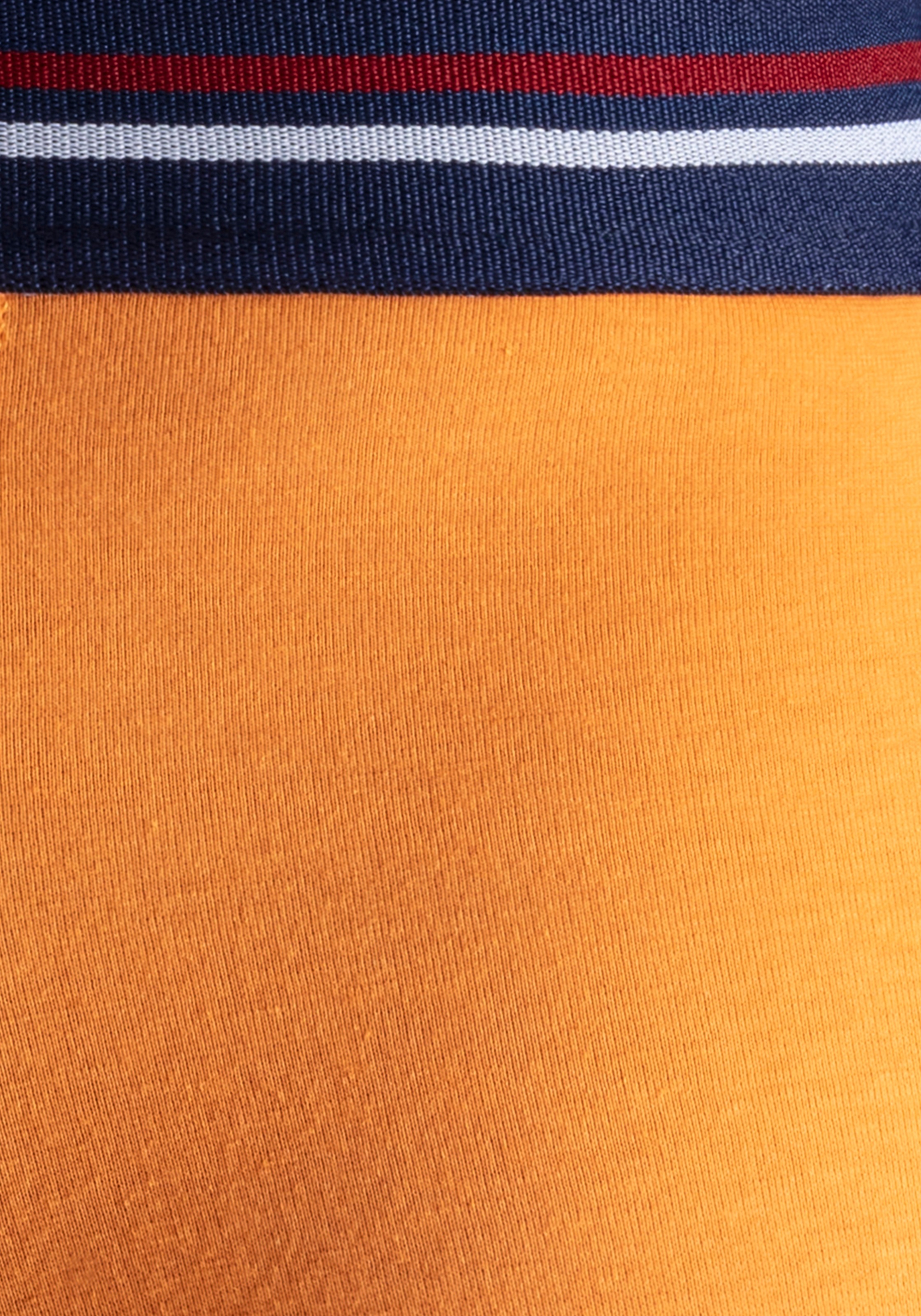 H.I.S Boxer »Boxershorts für Herren«, (Packung, 5 St.), mit Streifen und Markenlogo im Bund