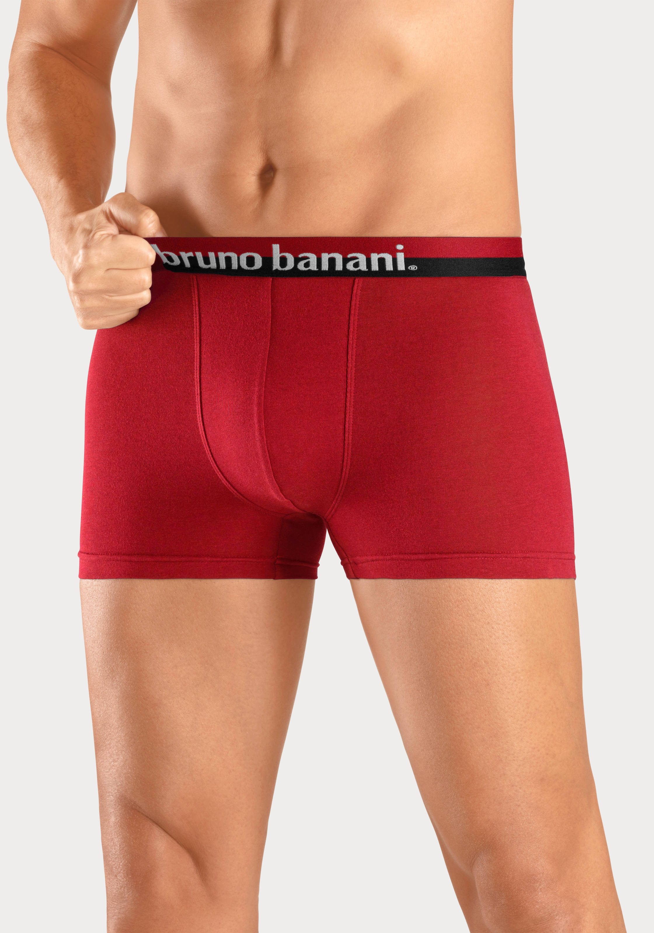Bruno Banani Boxer »Boxershorts für Herren«, (Packung, 4 St.), mit erhabenem Logo-Druck auf dem Bund