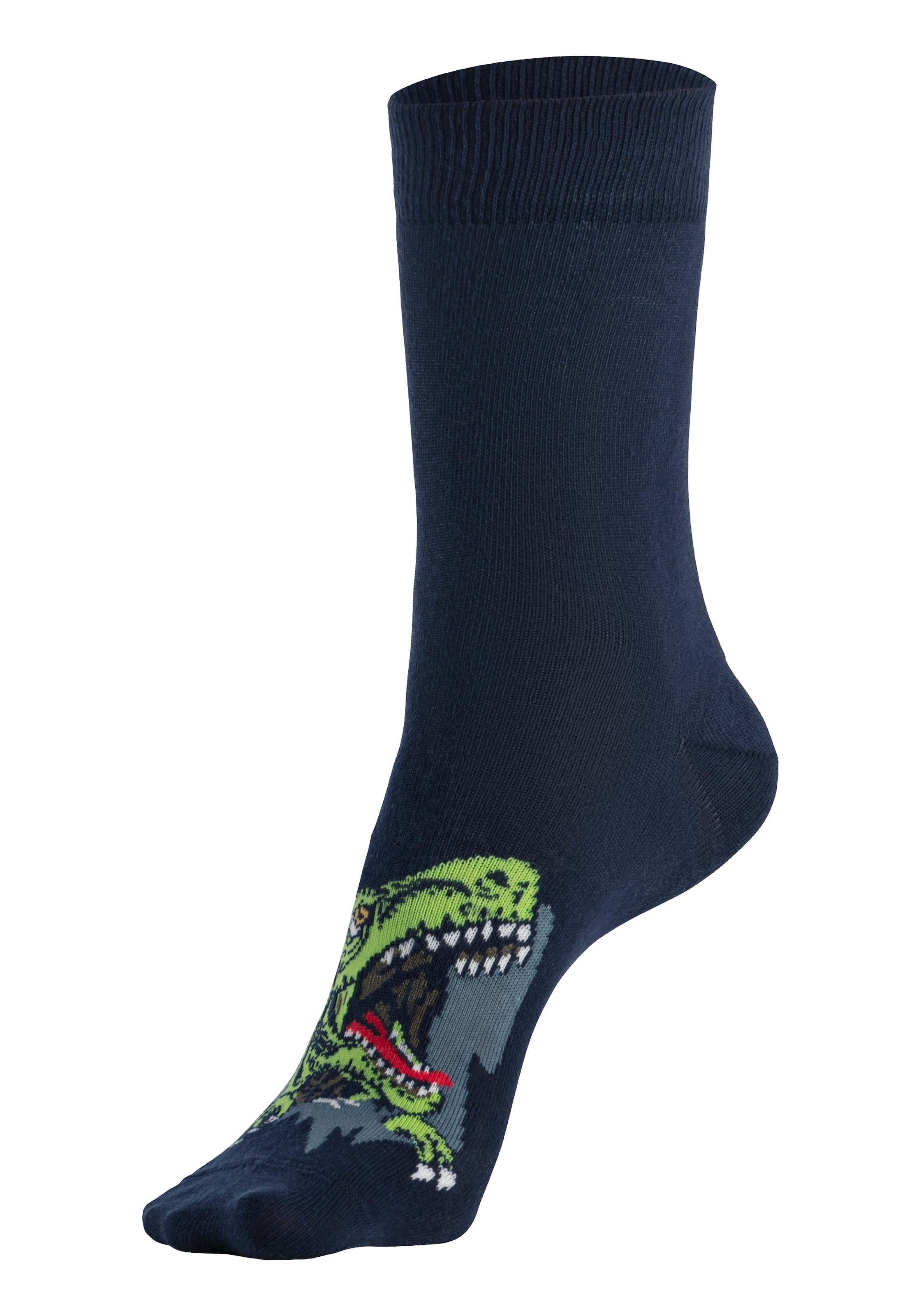 H.I.S Socken »Kinder und Jugendliche Motivsocken« Packung, 5 Stk. tlg. mit Dinosauriermotiven